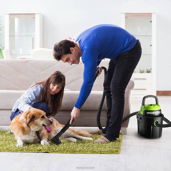 מוֹעִיל WORKPRO שואב אבק רטוב/יבש 2.5 ליטר 3 כוח סוס שיא, שואב אבק נייד לבית כְּלִי L40Z216