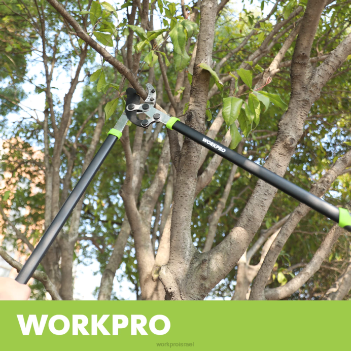 מורדן WORKPRO חותך סדן, חותך ענפים בגודל 32 אינץ' עם פעולה מורכבת, גוזם עצי גינה כבד כְּלִי L40Z282