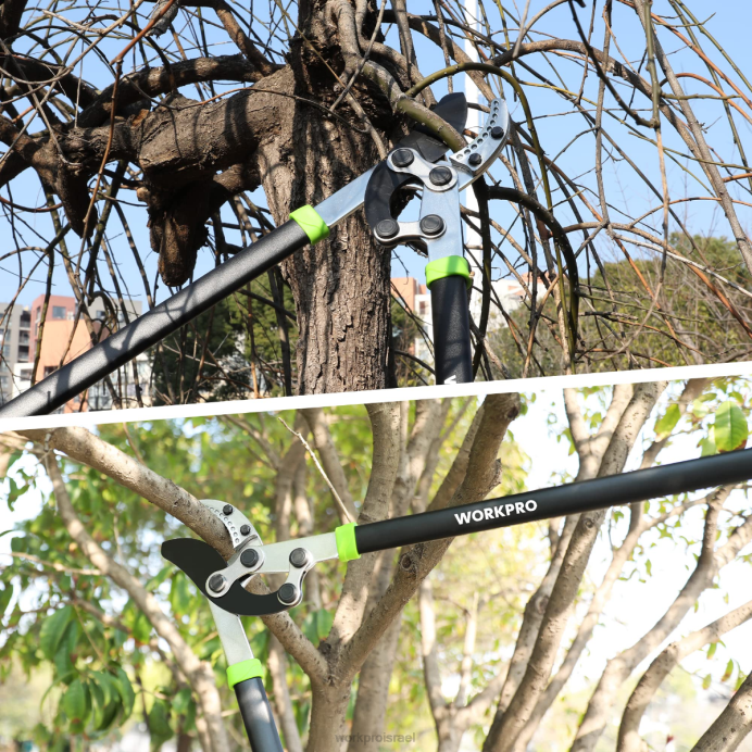 מורדן WORKPRO חותך סדן, חותך ענפים בגודל 32 אינץ' עם פעולה מורכבת, גוזם עצי גינה כבד כְּלִי L40Z282