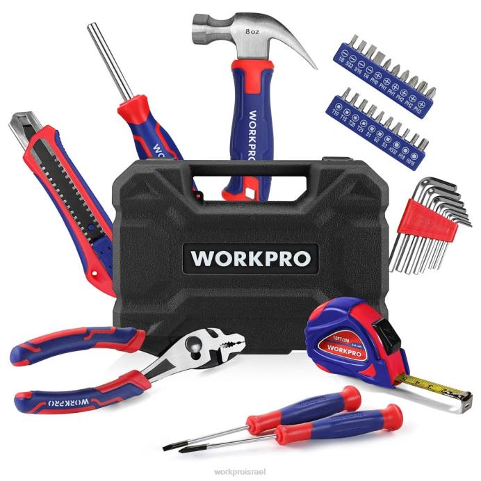 ורוד כחול WORKPRO סט כלים ביתי 35 יחידות עם ארגז כלים לאחסון כְּלִי L40Z246